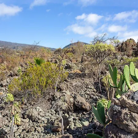 Piletas Dos Tatil Evi